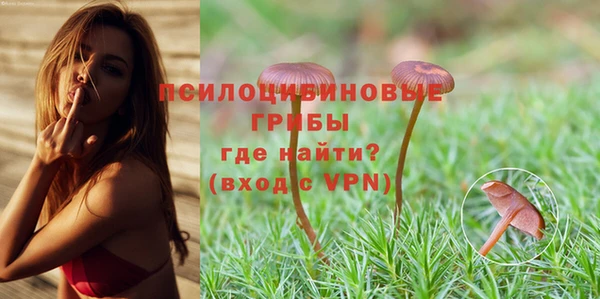 молекула духа Абдулино